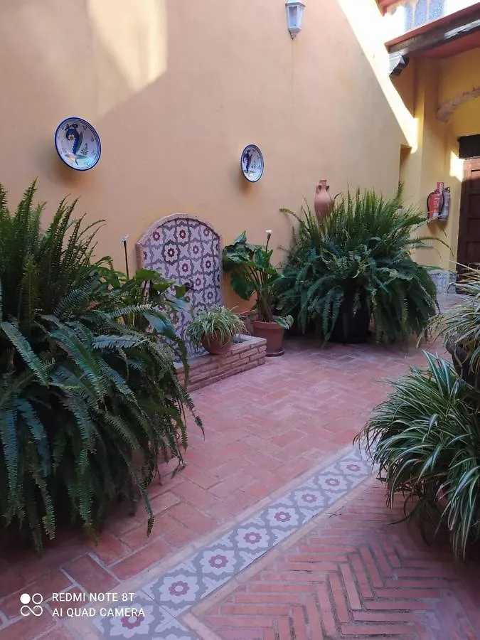 Apartamentos Jerezanos Jerez de la Frontera Spain